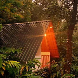 Homestay Teadrops Plantation, Munnar