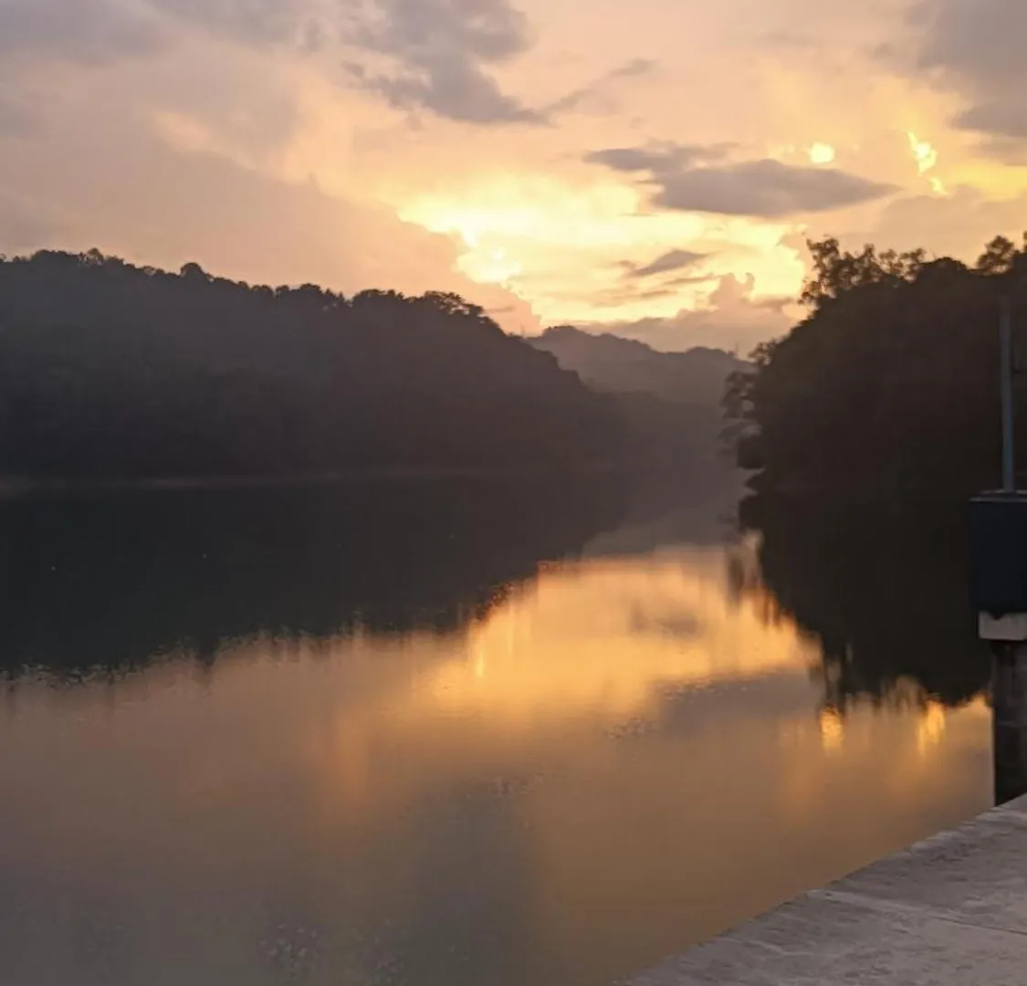 Mount Mist Villa Munnar Homestay