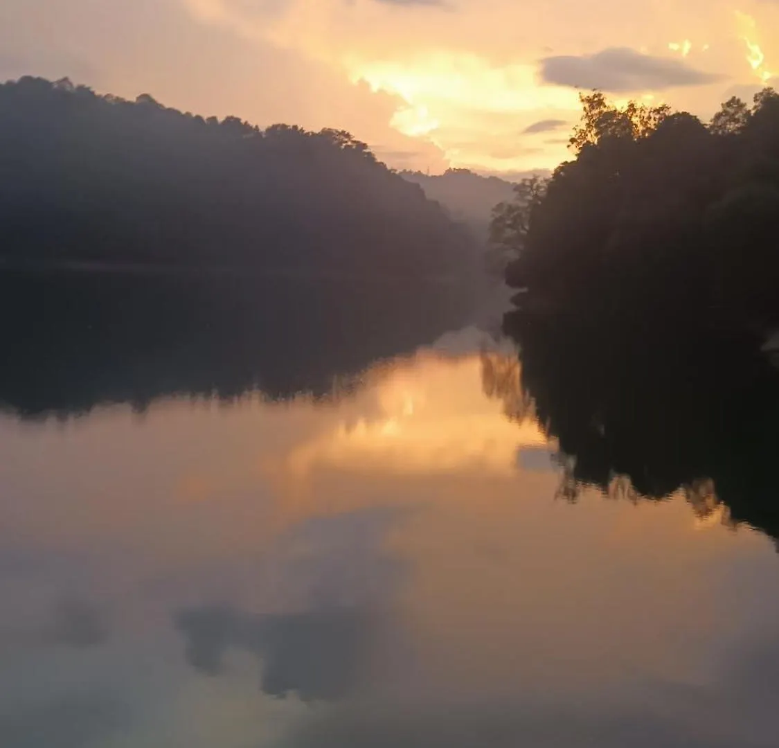 Mount Mist Villa Munnar